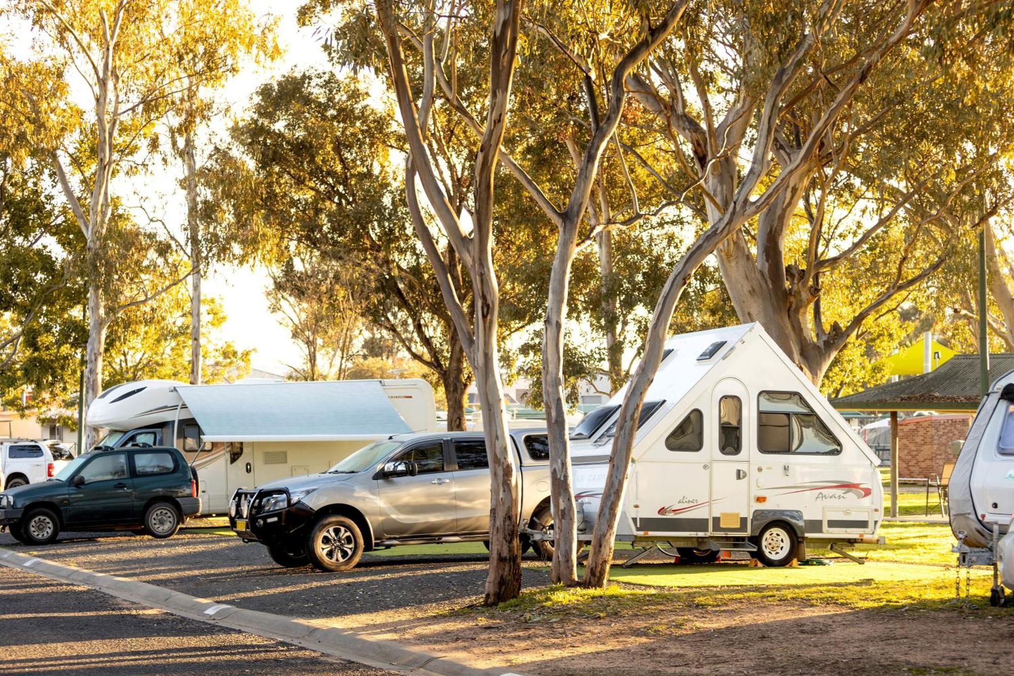 Big4 Mudgee Holiday Park Dış mekan fotoğraf